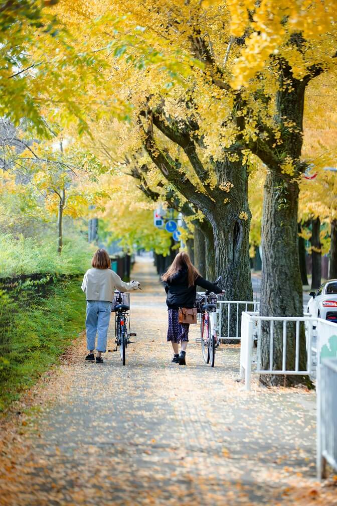 Dwie dziewczyny prowadzą rower chodnikiem. Dookoła pełno jesiennych liści. 