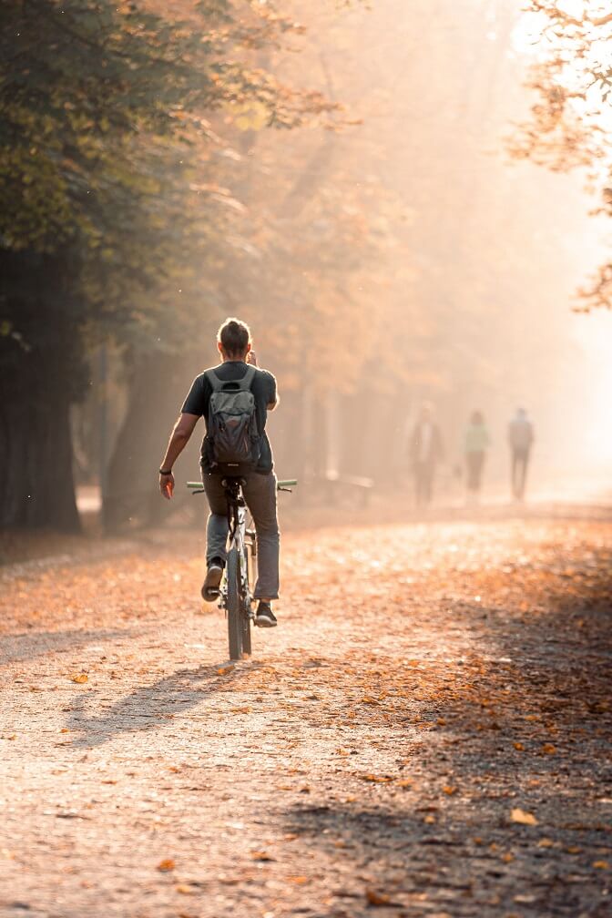 Rowerzysta jedzie asfaltową drogą w parku jesienią.