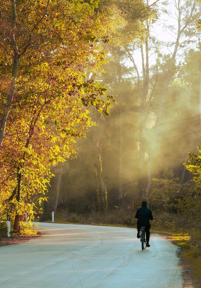 Rowerzysta jedzie asfaltową drogą w lesie w jesiennej scenerii. 